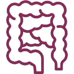 Illustration of a healthy gut representing good digestive health